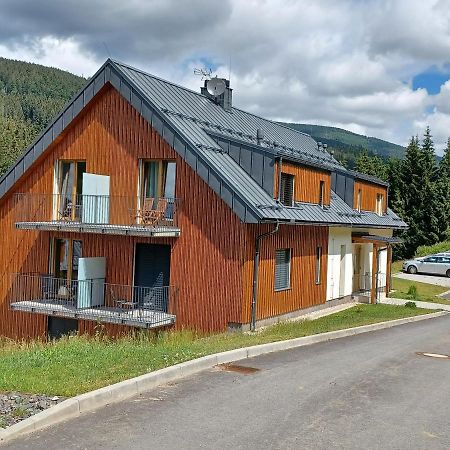 Apartman Pod Sjezdovkami Dolní Morava エクステリア 写真
