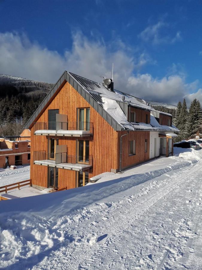Apartman Pod Sjezdovkami Dolní Morava エクステリア 写真