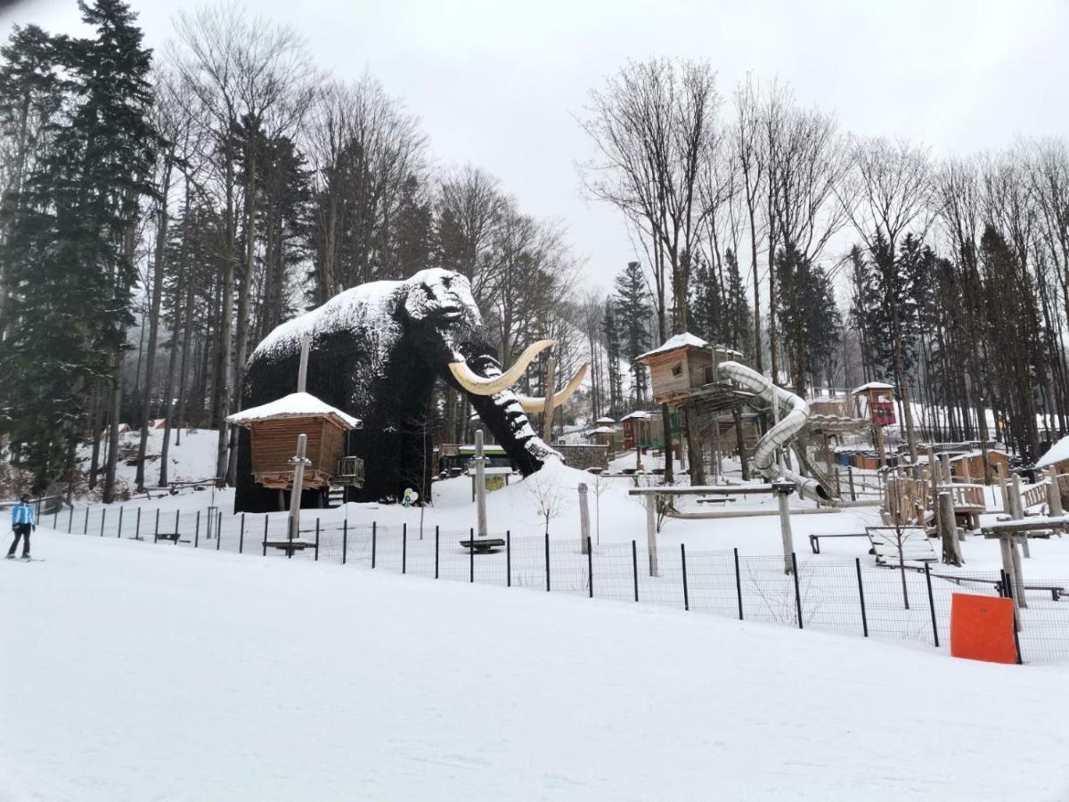 Apartman Pod Sjezdovkami Dolní Morava エクステリア 写真